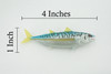 Fish, False albacore, Little tunny, Tuna, Bonita, Museum Quality, Hand Painted, Rubber, Educational, Realistic, Toy, Kids, Model, Educational, Gift,       4"    CH631 BB168