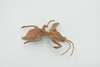 Praying Mantis, Deroplatys, Dead leaf mantis, High Quality, Rubber Insect, Educational, Realistic, Figure, Replica, Toy, Kids, Educational, Gift,      3"     CH639 BB168 