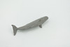 Whale, Sperm whale, High Quality, Hand Painted, Rubber, Pelagic Marine Mammal , Educational, Realistic, Figure, Toy, Kids, Educational, Gift,    3 1/2 "   CH643 BB168 