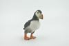 Bird, Puffin, Auks,  Pelagic seabirds, Museum Quality, Rubber, Hand Painted, Realistic Toy Figure, Model, Replica, Kids, Educational, Gift,     3"     CH666 BB169