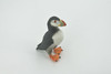 Bird, Puffin, Auks,  Pelagic seabirds, Museum Quality, Rubber, Hand Painted, Realistic Toy Figure, Model, Replica, Kids, Educational, Gift,     3"     CH666 BB169