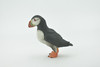 Bird, Puffin, Auks,  Pelagic seabirds, Museum Quality, Rubber, Hand Painted, Realistic Toy Figure, Model, Replica, Kids, Educational, Gift,     3"     CH666 BB169