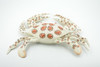 Crab, Calico, Spotted Leopard crab, Crustacean, Museum Quality, Hand Painted, Realistic, Rubber, Figure, Model, Toy, Kids, Educational, Gift,      8"      CH674 BB171