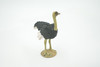 Bird, Ostrich, Museum Quality, Hand Painted, Realistic, Rubber, Figure, Model, Toy, Kids, Educational, Gift,       4"       CH679 BB172 