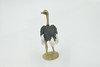 Bird, Ostrich, Museum Quality, Hand Painted, Realistic, Rubber, Figure, Model, Toy, Kids, Educational, Gift,       4"       CH679 BB172 