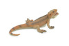 Lizard, Bearded Dragon, Pogona, Reptile, Museum Quality, Hand Painted, Rubber, Educational, Realistic, Lifelike, Toy, Kids, Gift,    5"    CH686 BB172