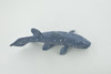 Coelacanths, Extinct Fish, Cretaceous Period, Museum Quality, Hand Painted, Rubber, Educational, Realistic, Lifelike, Toy, Kids, Gift,       5 1/2"     CH688 BB173