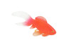 Fish, Goldfish, Common, Museum Quality, Hand Painted, Rubber, Realistic Figure, Model, Replica, Toy, Kids, Educational, Gift,     4"      CH703 BB174