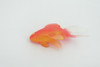 Fish, Goldfish, Common, Museum Quality, Hand Painted, Rubber, Realistic Figure, Model, Replica, Toy, Kids, Educational, Gift,     4"      CH703 BB174