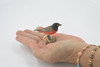 Bird, American robin, Museum Quality, Hand Painted, Rubber, Realistic, Figure, Model, Replica, Toy, Kids, Educational, Gift,        3"        CH717 BB174 