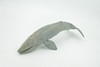 Gray Whale, Cetaceans, Grey Whale, Museum Quality, Hand Painted, Rubber, Realistic, Figure, Model, Replica, Toy, Kids, Educational, Gift,       12"        CH718 BB175  