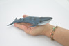 Whale, Blue Whale, Cetaceans, Marine Mammal, Hand Painted, Museum Quality, Rubber, Realistic Toy Figure, Model, Educational, Gift,       8"     CH719 BB175 