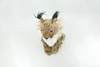 Lynx, Cat, Canada lynx, Very High Quality, Stuffed, Educational, Plush Realistic Figure, Lifelike Model, Replica, Toys, Kids, Gift,     12 Inches Tall.   