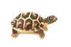 Turtle, Tortoise, Brown, Reptile, Stuffed Animal, Plush, Educational, Realistic Design, Figure, Replica, Soft, Toy, Kids, Educational, Gift,         11 "        RI41 BA2