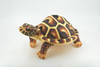 Turtle, Tortoise, Brown, Reptile, Stuffed Animal, Plush, Educational, Realistic Design, Figure, Replica, Soft, Toy, Kids, Educational, Gift,         11 "        RI41 BA2