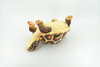 Turtle, Tortoise, Brown, Reptile, Stuffed Animal, Plush, Educational, Realistic Design, Figure, Replica, Soft, Toy, Kids, Educational, Gift,         11 "        RI41 BA2