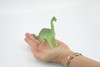 Brontosaurus, Herbivorous Sauropod Dinosaur, High Quality, Hand Painted, Rubber, Realistic, Figure, Model, Replica, Toy, Kids, Educational, Gift,    6"   RI18 B166 