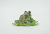 Frog, Amphibians, Green & Brown, High Quality, Hand Painted, Rubber, Realistic, Model, Replica, Toy, Kids, Educational, Gift,      2 1/2"     RI30 B177  