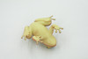 Frog, Brown & Yellow, Amphibians, High Quality, Hand Painted, Rubber, Realistic, Model, Replica, Toy, Kids, Educational, Gift,      2 1/2"     RI31 B177  