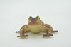 Frog, Brown & Yellow, Amphibians, High Quality, Hand Painted, Rubber, Realistic, Model, Replica, Toy, Kids, Educational, Gift,      2 1/2"     RI31 B177  