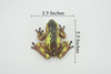 Frog, Brown & Yellow, Amphibians, High Quality, Hand Painted, Rubber, Realistic, Model, Replica, Toy, Kids, Educational, Gift,      2 1/2"     RI31 B177  