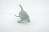 Dolphin, Porpoise, Bottlenose, Marine Mammal, Soft Rubber, Realistic, Figure, Model, Toy, Kids, Educational, Gift,        5 1/2"      CWG302 B111