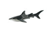 Galapagos Islands Shark, Black, Educational, Hand Painted, Realistic Plastic Shark, Lifelike, Diorama, Model, Toy, Kids, Gift,  3 1/2 Inches. 
