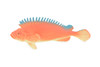 Red Snapper, Sebastes miniatus, Saltwater, Rubber Fish, Realistic, Figure, Model, Replica, Toy, Kids, Educational, Gift,       4 1/2"        F0416  B378