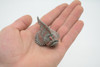Stonefish, Scorpionfish, Venomous fish, Very Nice Rubber Fish, Educational, Hand Painted, Realistic, Replica, Toys, Kids, Gift,  2 3/4 Inches.