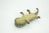 Koolasuchus Cleelandi, Green, Prehistoric Amphibian, Museum Quality, Hand Painted, Realistic, Rubber, Animal, Figure, Model, Toy, Kids, Educational, Gift  8"  CH282 BB178