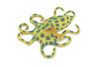Octopus, Blue-ringed octopuses, Octopodes, Octopoda,Museum Quality, Hand Painted, Hard Rubber, Realistic, Model, Replica, Kids, Educational, Gift,   4 1/2"  CH289  BB179