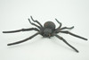 Spider, Black Widow, Latrodectus, High Quality, Hand Painted, Hard Rubber, Insect, Realistic, Figure, Model, Replica, Toy, Kids, Educational, Gift,     4"   CH290 BB179