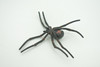 Spider, Black Widow, Latrodectus, High Quality, Hand Painted, Hard Rubber, Insect, Realistic, Figure, Model, Replica, Toy, Kids, Educational, Gift,     4"   CH290 BB179