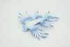 Sea Slug Dragon, Marine Mollusks, Blue, Museum Quality, Hand Painted, Rubber Gastropod, Realistic Toy, Figure, Model, Replica, Kids, Educational, Gift,  3 1/2"   CH293 BB179