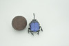 Dung Beetle, Poop, Scarabaeoidea, 2 pieces,  Museum Quality, Hand Painted, Rubber Gastropod, Realistic Toy, Figure, Model, Replica, Kids, Educational, Gift, 5"  CH296 BB180