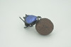 Dung Beetle, Poop, Scarabaeoidea, 2 pieces,  Museum Quality, Hand Painted, Rubber Gastropod, Realistic Toy, Figure, Model, Replica, Kids, Educational, Gift, 5"  CH296 BB180