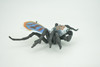 Peacock Spider, Jumping Spiders, Maratus, Museum Quality, Hand Painted, Realistic, Rubber, Insect, Figure, Model, Toy, Kids, Educational, Gift    4 1/2"    CH300 BB181