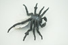 Peacock Spider, Jumping Spiders, Maratus, Museum Quality, Hand Painted, Realistic, Rubber, Insect, Figure, Model, Toy, Kids, Educational, Gift    4 1/2"    CH300 BB181