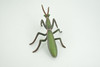 Praying Mantis, Mantodea,  Museum Quality, Rubber Insect, Design, Educational, Hand Painted, Figure, Lifelike Toy, Model, Figurine, Replica, Gift,   5"   CH302 BB181