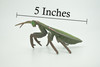Praying Mantis, Mantodea,  Museum Quality, Rubber Insect, Design, Educational, Hand Painted, Figure, Lifelike Toy, Model, Figurine, Replica, Gift,   5"   CH302 BB181