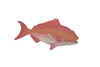 Red Snapper, Fish, Onaga, Rockfish, High Quality, Hand Painted, Hard Rubber, Realistic, Figure, Model, Toy, Kids, Educational, Gift,     3"     CH303 BB181