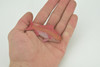 Red Snapper, Fish, Onaga, Rockfish, High Quality, Hand Painted, Hard Rubber, Realistic, Figure, Model, Toy, Kids, Educational, Gift,     3"     CH303 BB181