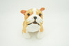 Bulldog, American, English, Canine, Dog Breed, Very Nice Plush, Stuffed Animal, Educational, Toy, Kids, Realistic Figure, Educational, Gift,     5 1/2"         WR16 BB227 