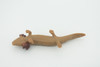 Mudpuppy, Common, Hand Painted, Educational, Rubber Salamander, Realistic Figure, Lifelike Model, Figurine, Replica, Gift,    3"     SF16 B31   