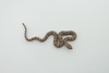 Water Snake, Hand Painted, Educational, Rubber Snake, Realistic Figure, Lifelike Model, Figurine, Replica, Gift,      2 1/2"    SF19 B31   