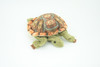 Turtle Finger Puppet, Very Nice Plush Tortoise, Stuffed Reptile, Educational, Realistic, Lifelike Model, Gift,    6 1/2"   FM10 B235
