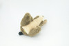 Rabbit Finger Puppet, Very Nice Plush Jack Rabbit, Stuffed Animal, Educational, Realistic, Lifelike, Gift,    6"   FM20 B236