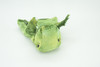 Tyrannosaurus Rex Hand Puppet, Very Nice Plush T Rex , Stuffed Dinosaur, Educational, Realistic, Lifelike Model, Gift,    6"   FM28 B75