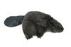Beaver Hand Puppet