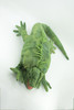 Iguana Hand Puppet, Very Nice Plush Lizard, Stuffed Reptile, Educational, Realistic, Lifelike Model, Gift,    32"   FM34 B413